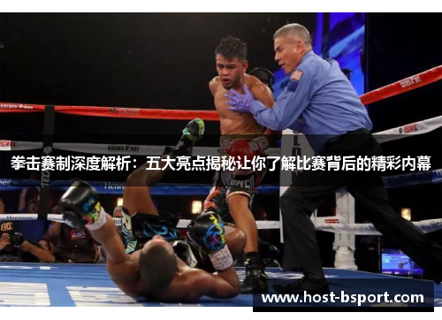 拳击赛制深度解析：五大亮点揭秘让你了解比赛背后的精彩内幕