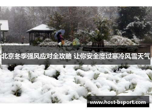 北京冬季强风应对全攻略 让你安全度过寒冷风雪天气