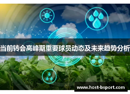当前转会高峰期重要球员动态及未来趋势分析